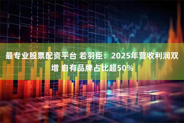 最专业股票配资平台 若羽臣：2025年营收利润双增 自有品牌占比超50%